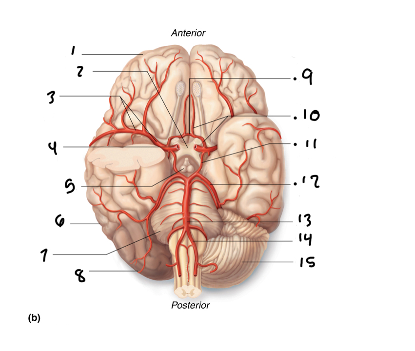 <p>6</p>