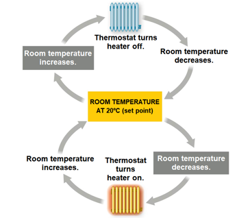<ol><li><p>Homeostasis</p></li><li><p>body temperature blood pH, and glucose concentration</p></li><li><p>Fluctuations above or below a set point serve as a stimulus that are detected by a sensor.</p></li><li><p>output</p></li><li><p>set point</p></li></ol>
