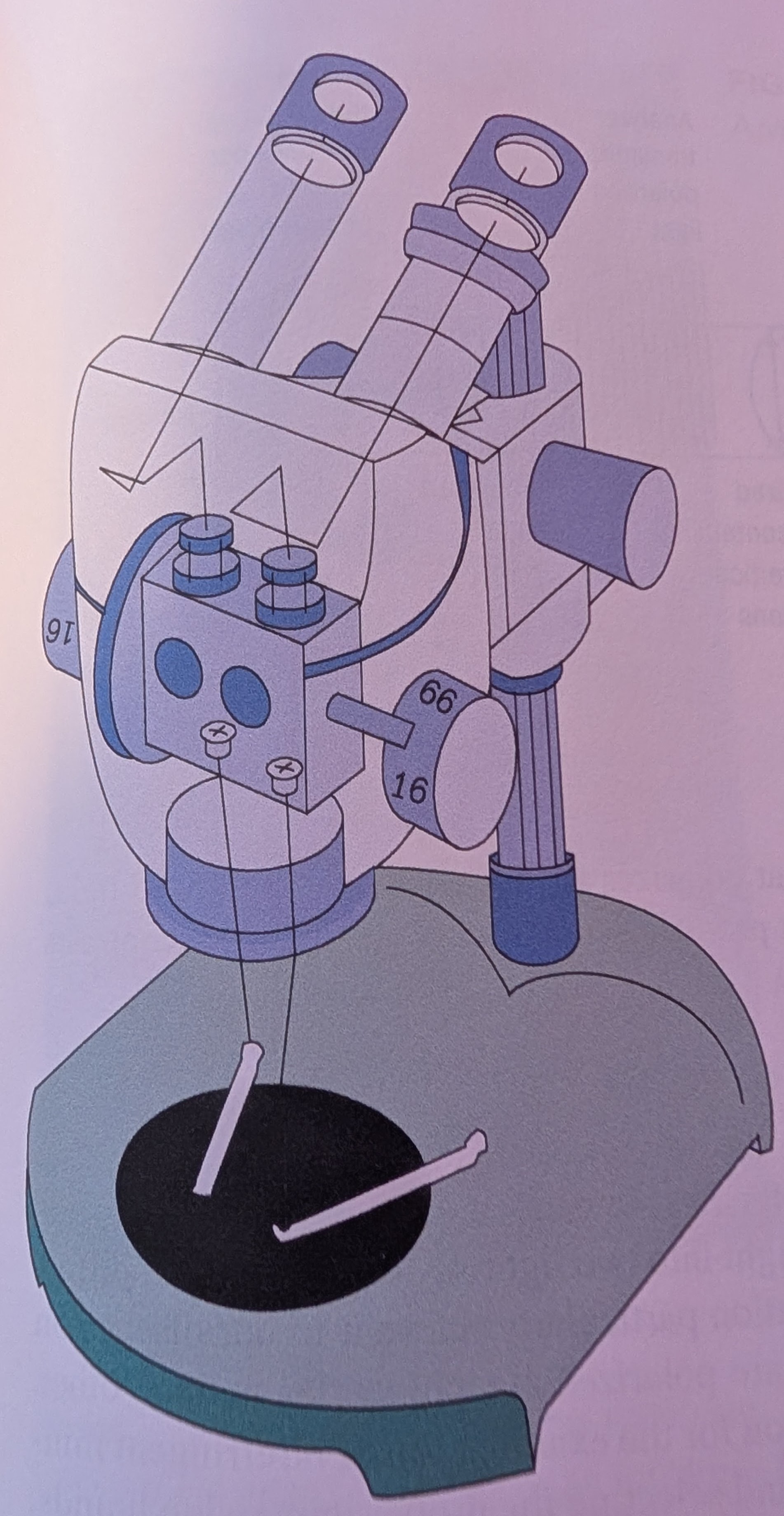 <p><span>This microscope is actually two separate monocular microscopes, each with its own set of lenses except for the lowest objective lens, which is common to both microscopes.</span></p>