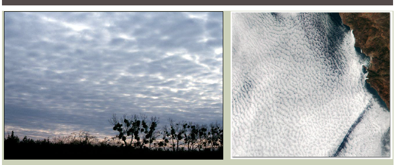 <p>Type of Cloud</p>