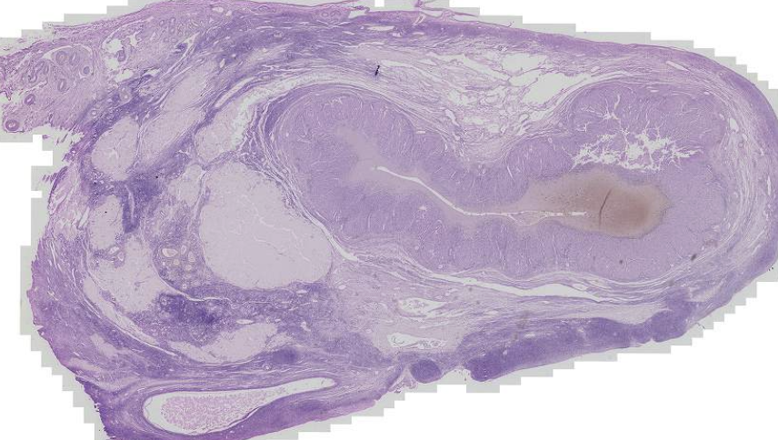 <p>What is this?</p>