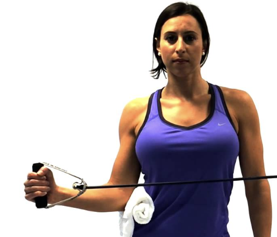 <p>Shoulder External Rotation</p>