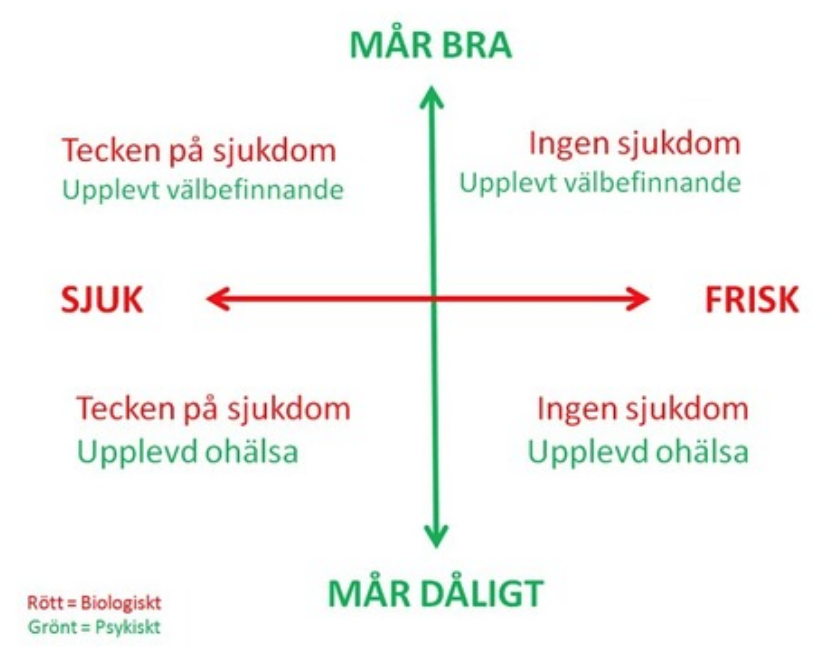 <p><span>Vad är hälsokorset och vad representerar det?</span></p>