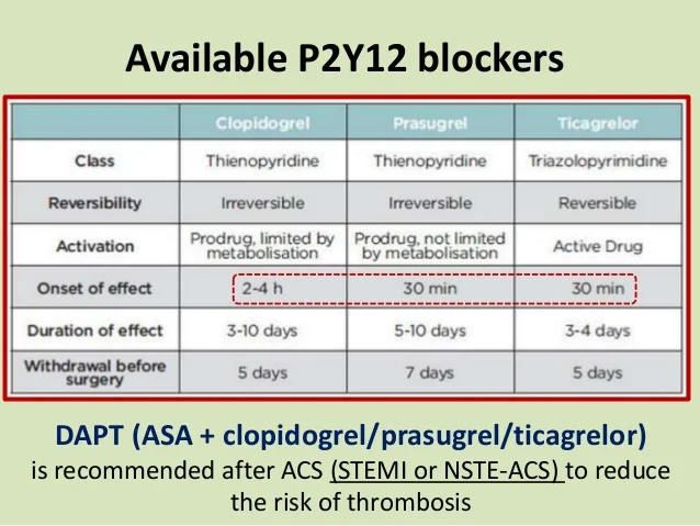 <ul><li><p>clopidogrel, ticagrelor (clop, tic)</p></li><li><p>antagonists to ADP receptors subtype (P2Y12)</p></li><li><p>clop: irreversible, prodrug, give loading dose, DAPT</p></li><li><p>tic: active, reversible, vasodilating, faster, induse dyspnea</p></li></ul><p></p>