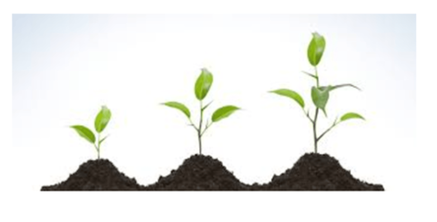 <p>Examples includes a plant getting bigger or a cell getting bigger</p>