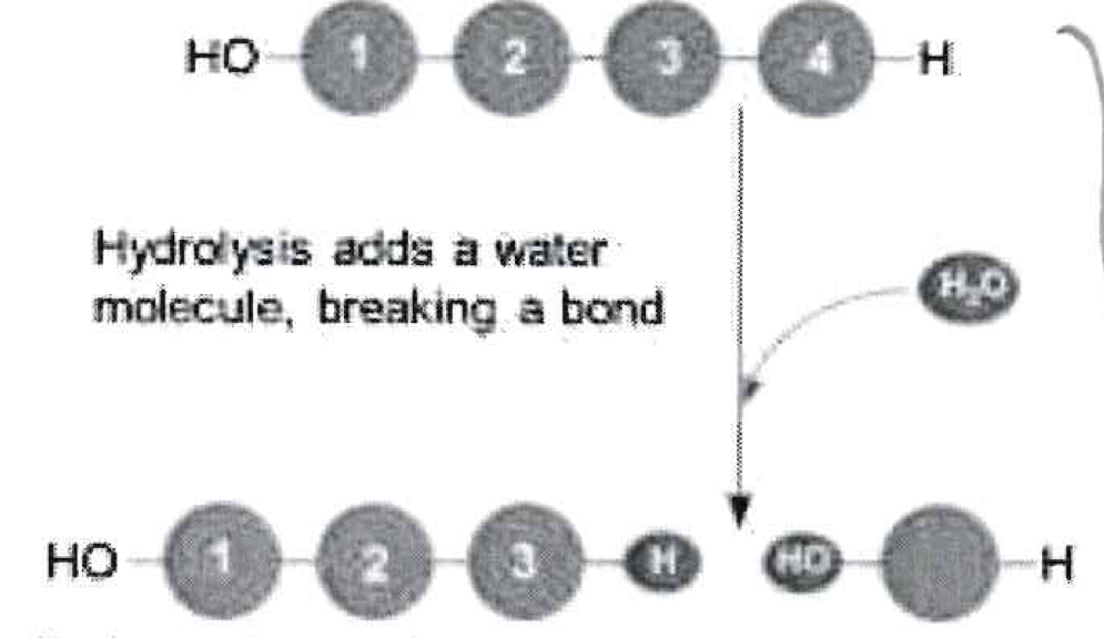 What type of reaction is this?