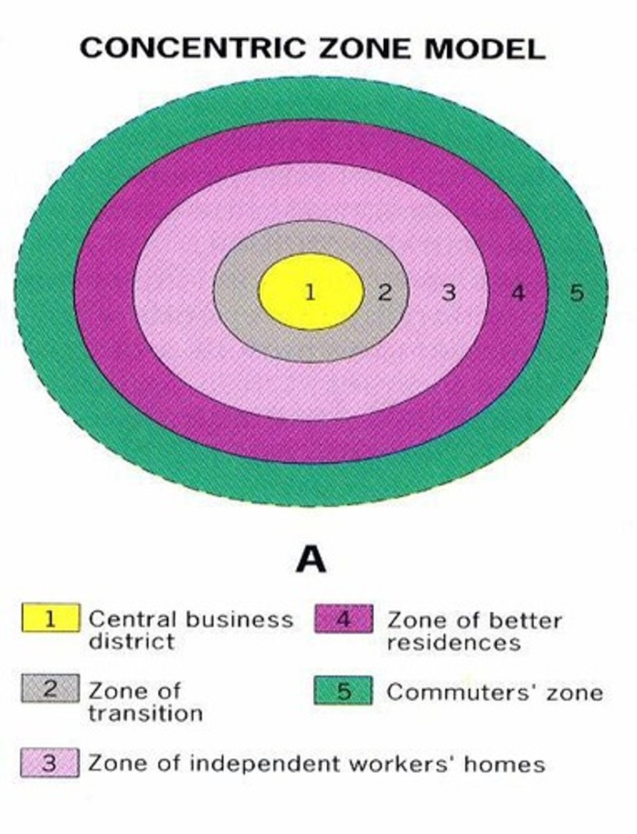 <p>A spatial model of the American city suggesting the existence of five concentric rings around a CBD.</p>