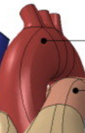 <p><span style="color: red">-</span></p>