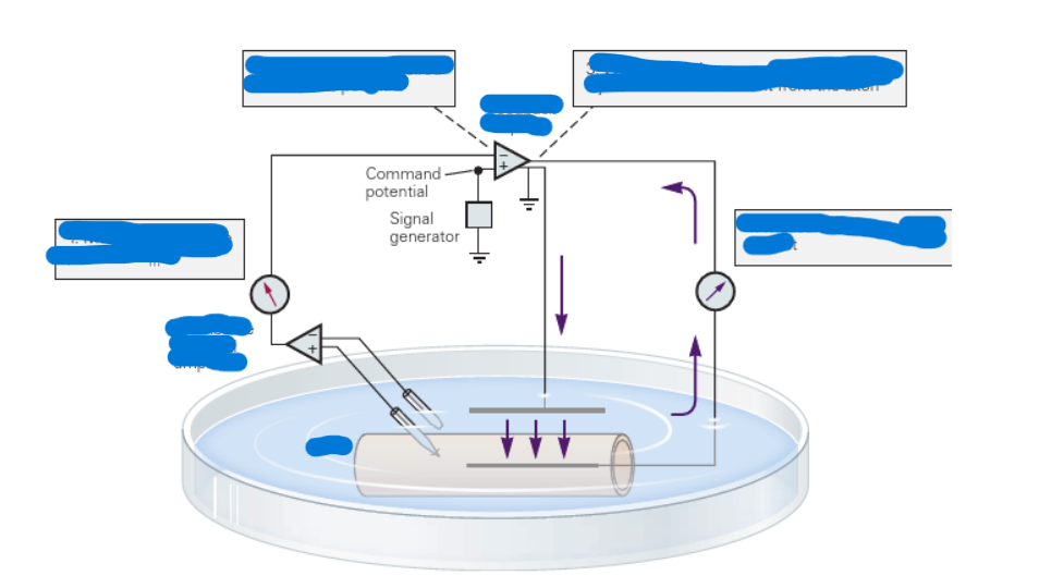 <p>Label and talk through this diagram </p>