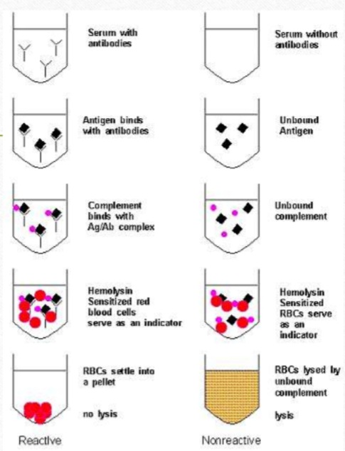 <ol><li><p>Name the test </p></li><li><p>This test is used for …….</p></li></ol>