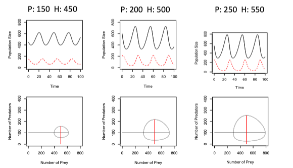 <ul><li><p><span>amplitude</span></p><ul><li><p><span>is determined by the initial population size.</span></p></li></ul></li><li><p>period</p><ul><li><p>is based on the prey growth rate and the predator death rate</p></li></ul></li></ul>