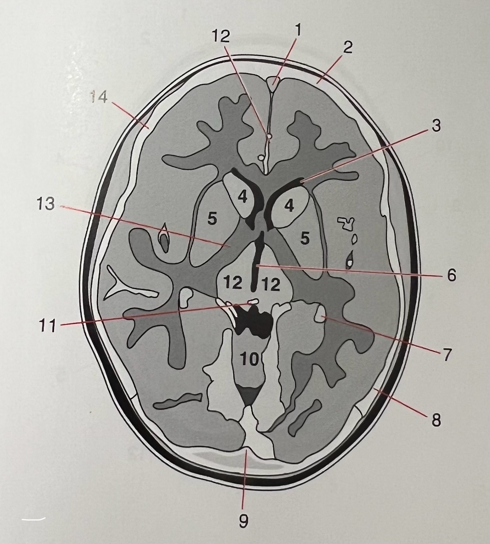 <p>8</p>