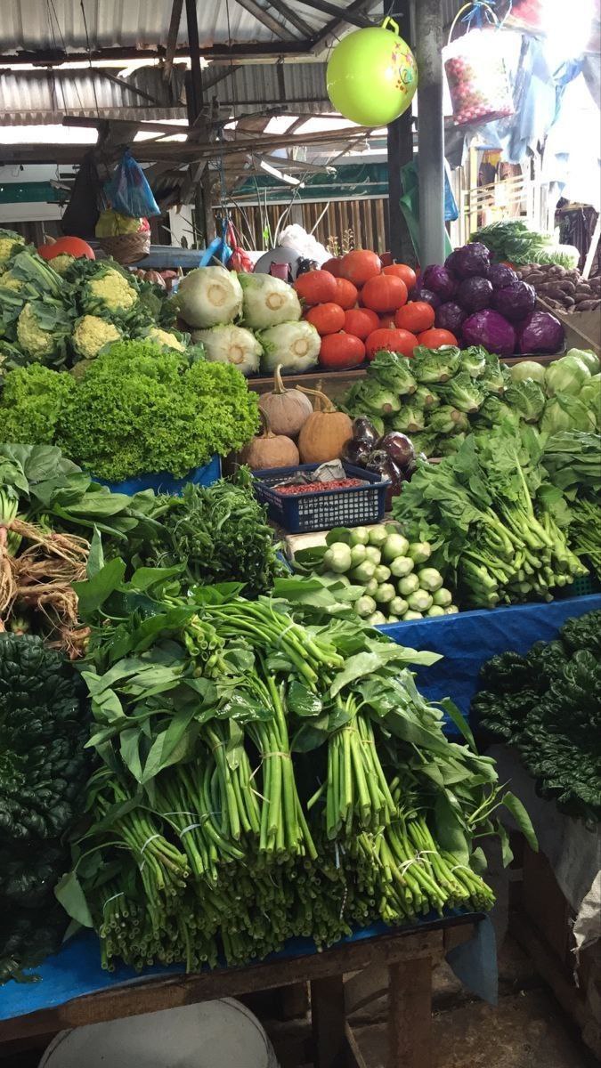 <p><em>Market.</em></p>