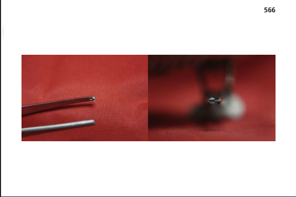 <p>Function: To powerfully crush and create a fold in the tissues to which it is applied. It is often included in spay packs because it can be applied to uterine horns and spermatic cords.</p>