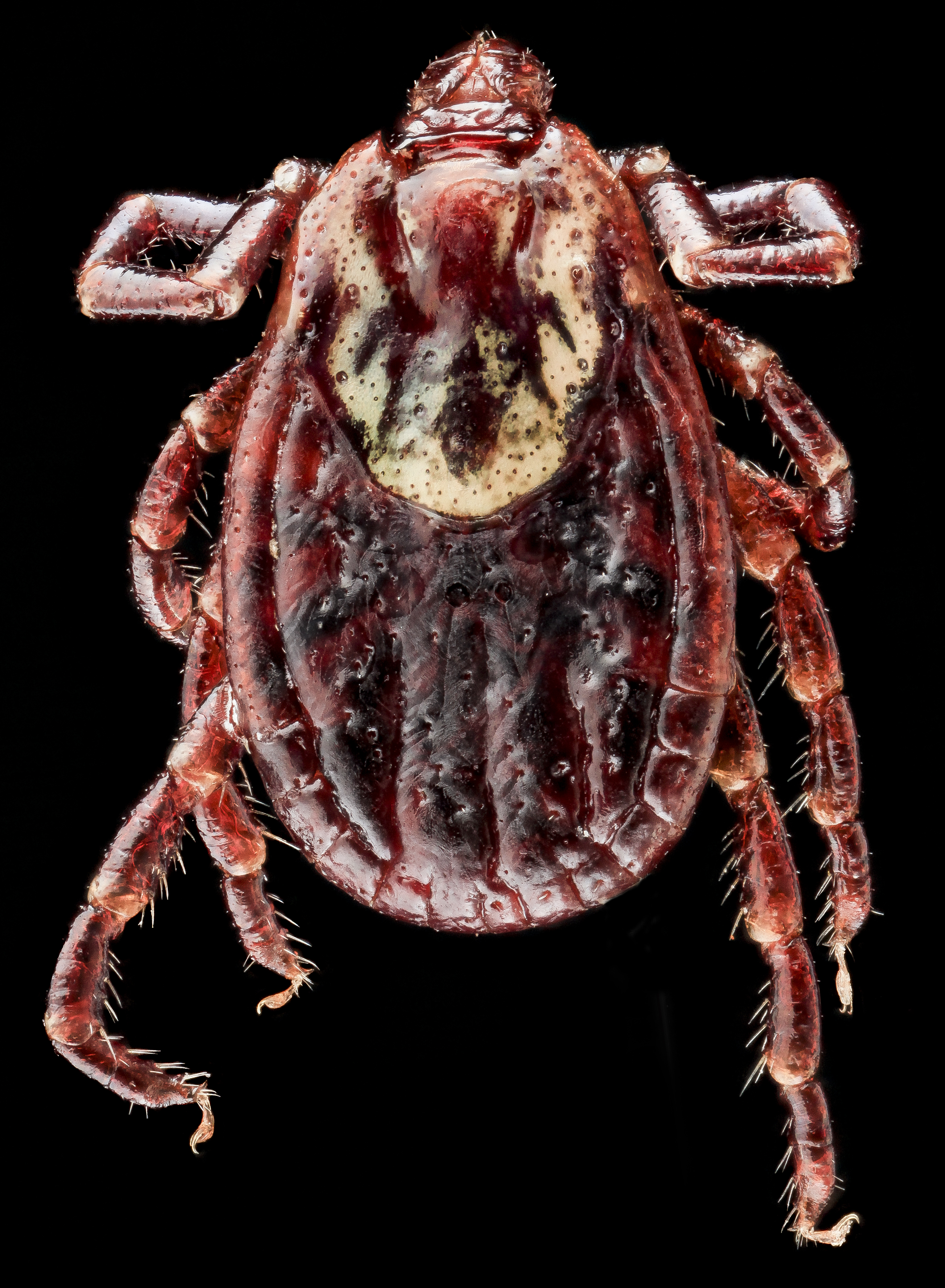 <p>What is this?</p>