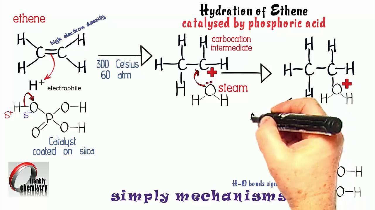 <p>Conditions = 330*C, 200 atm, H<sub>2</sub>O(g), phosphoric acid catalyst</p><ol><li><p>H<sup>+</sup> from H<sub>3</sub>PO<sub>4</sub> </p></li><li><p>Pi bond breaks </p></li><li><p>Forms dative covalent bond with H<sup>+ </sup> </p></li><li><p>Carbocation intermediate </p></li><li><p>Lone pair of electrons on oxygen of H<sub>2</sub>O forms dative covalent bond with C of carbocation</p></li><li><p>Heterolytic fission of O-H bond </p></li><li><p>H<sup>+</sup> catalyst is regenerated </p></li></ol><p></p><p></p>