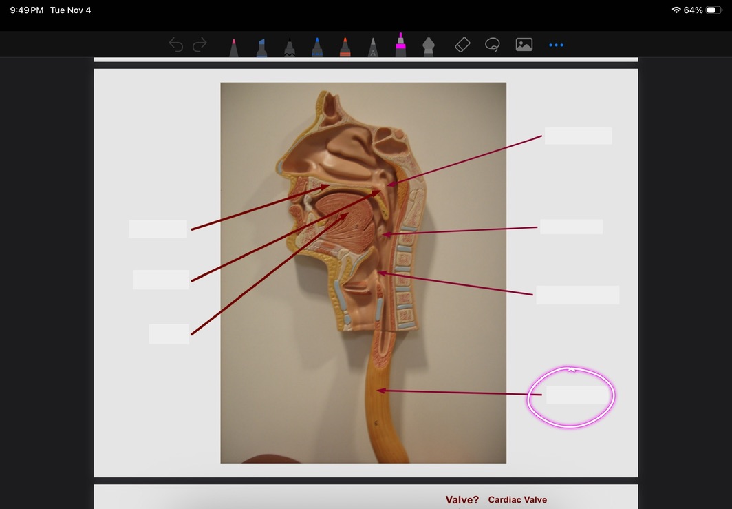 <p>What is this?</p>