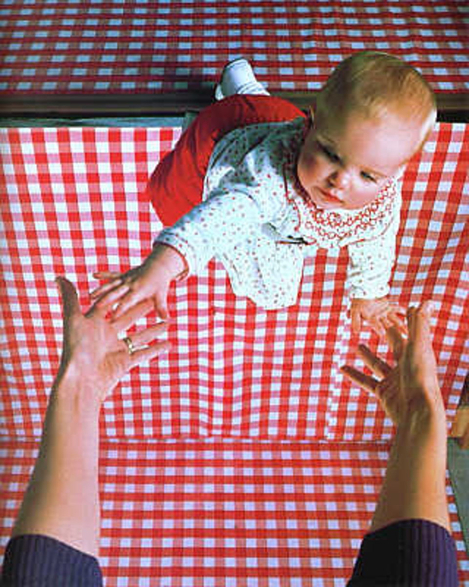 <p>the process of organizing and interpreting sensory information</p>