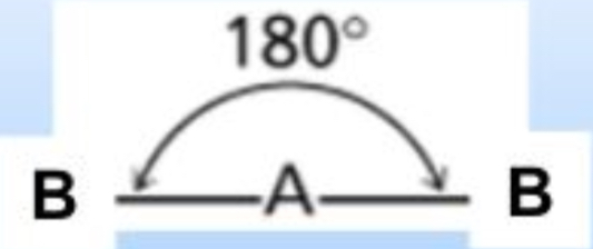 <p>Linear (180°)</p>