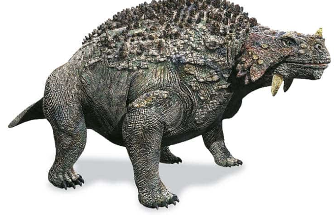 <p>Scutosaurus (biggest)</p><p>late Permian, 2-3m, herbivores, weird knobs in the skull</p>