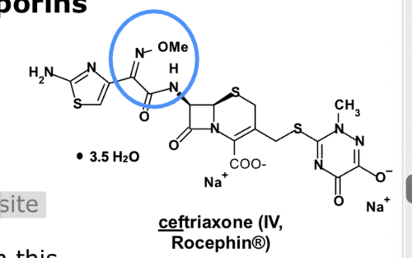 <p>- PO, IV, IM </p><p>- bactericidal </p><p>- sensitive to some beta-lactamases (oximes increase resistance) </p><p>- several agents are first-line therapy for different types of infections </p><p>- ADRs primarily limited to hypersensitivity &amp; injection-site reactions</p><p>- cefpodoxime, cefixime, cefdinir, ceftriaxone, cefotaxime, ceftazidime, cefditoren </p>