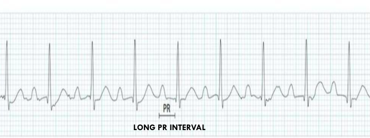 <p>what is this?</p>