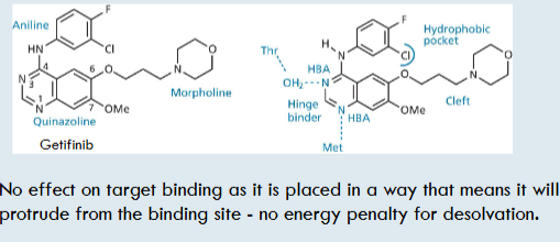 <p>Morpholine ring </p>