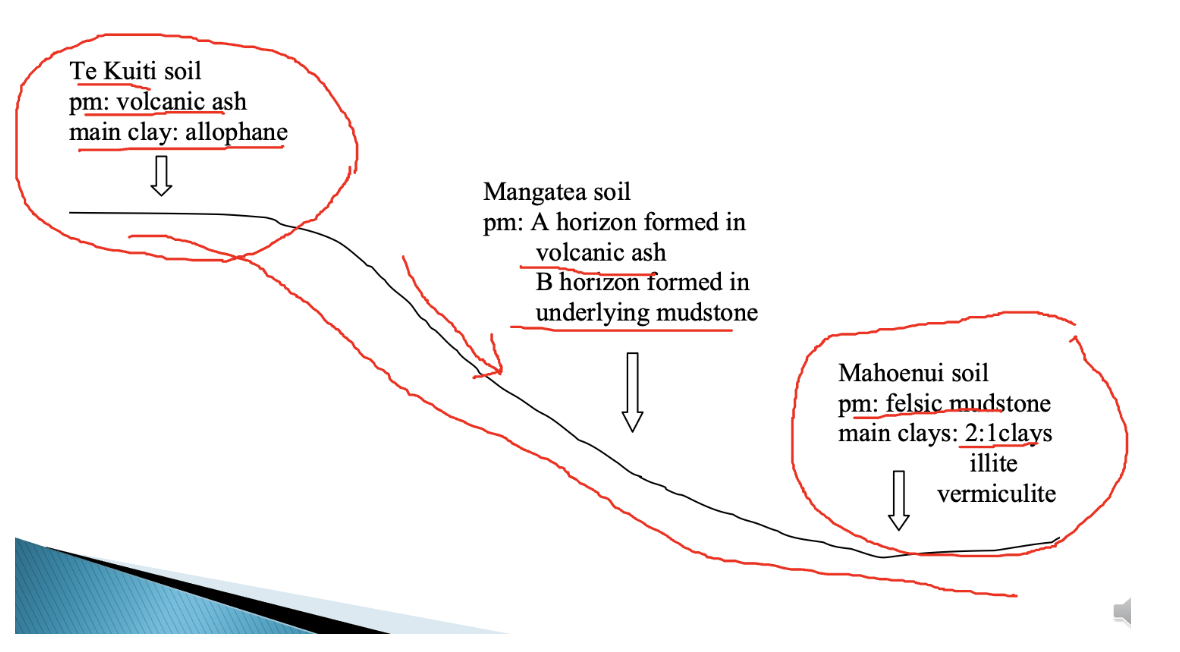 <p>top= Te Kuti soil </p><p>ash over tephra </p><p>middle= mangatea soil</p><p>Forming from PM= A horizon formed in volcanic ash. B horizon formed in underlying mudstone</p><p>Recent soil order, Raw soil order</p><p>youngest due to erosion </p><p>bottom= mahoenui soil</p><p>PM= felsic mudstone</p><p>has alluvial material </p><p>Floods could deposit fine sediment = PM for soil formation</p>