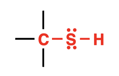 <p>Identify the functional group</p>