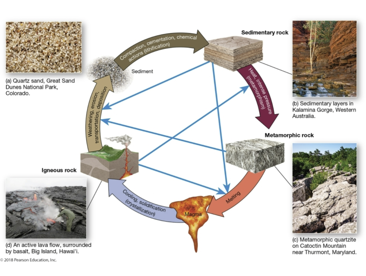 <p>Sedimentary rock</p>