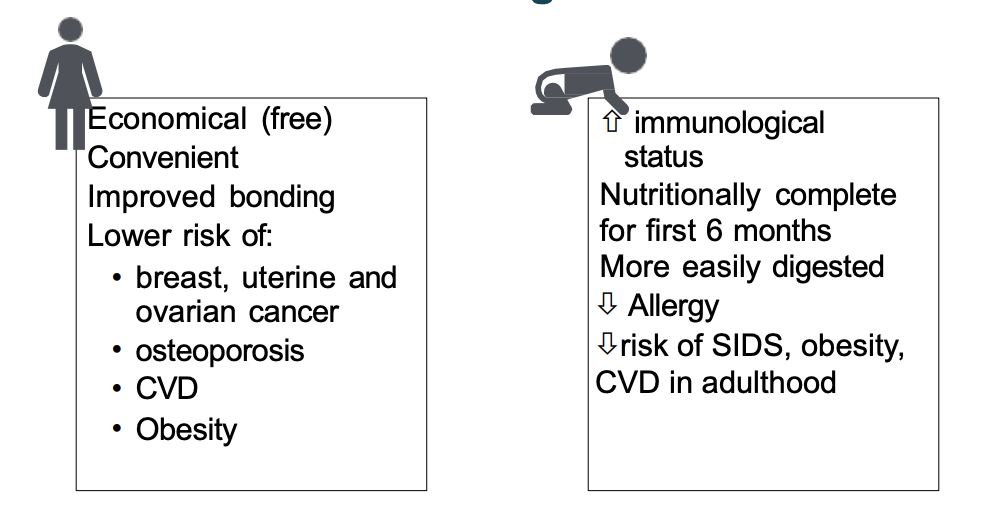 <p>WHO recommends exclusive BF for first 6 months</p><ul><li><p>With supplemental BF continuing for 2 years and beyond</p></li></ul><p>Formula can be hard to obtain at times/expensive</p><p>Composition of breastmilk changes based on babies needs</p><ul><li><p>If mother or baby exposed to infection - milk produced during BF will have more antibodies</p></li><li><p>Or e.g., composition incl. melatonin in BF - helps babies during sleep during night feed.</p></li><li><p>Reduces risks of allergies developing</p></li></ul><p></p>