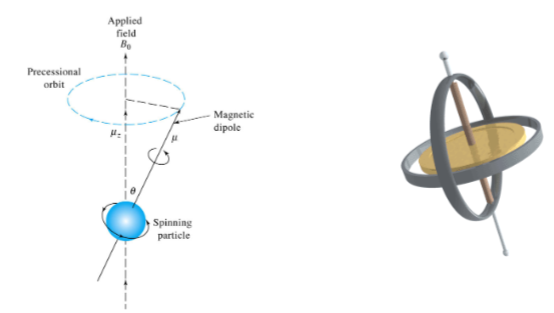 <p><span style="color: rgb(0, 0, 0);">A classical picture of the behavior of a charged particle in a magnetic field helps rationalize the measurement of the absorption process involved in NMR.</span><span style="color: rgb(0, 0, 0);"><br></span><span style="color: rgb(0, 0, 0);">We can consider a spinning particle (nuclei) in a applied magnetic field (B0 ) analogous to a gyroscope when it is displaced from the vertical position by application of a lateral force</span></p>