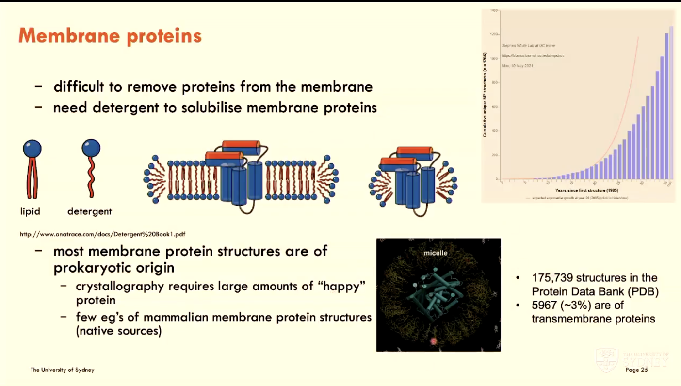 <p>They are difficult to remove from the membrane (natural environment), so we need detergent to solubilise membrane proteins</p><ul><li><p>note: most membrane protein structures are of prokaryotic origin</p></li></ul><p></p>