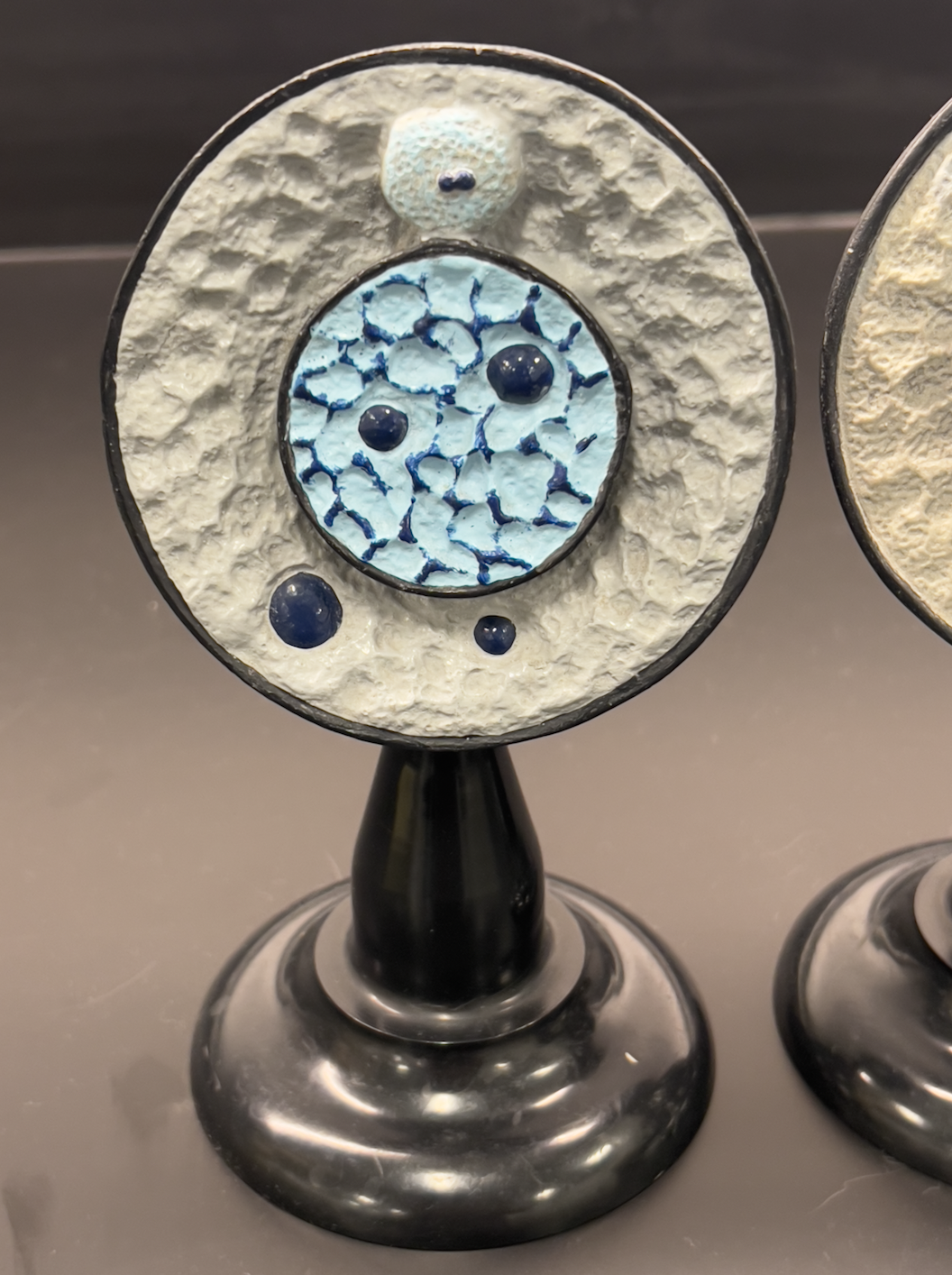 <p>what stage of mitosis?</p>