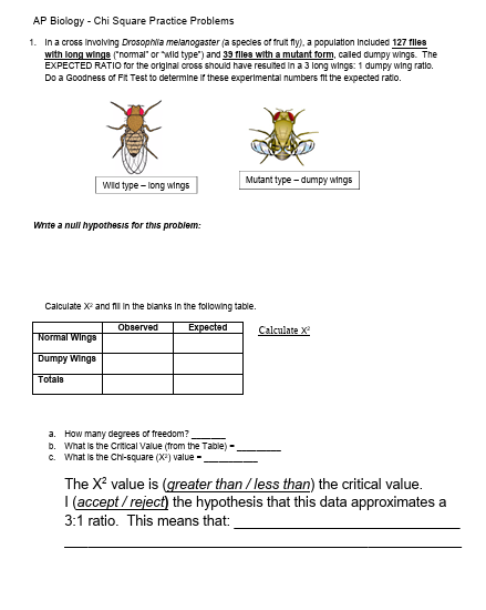 <p><span style="background-color: transparent;">(CHi SQUARE TESTS) <u>Example #3</u></span></p>