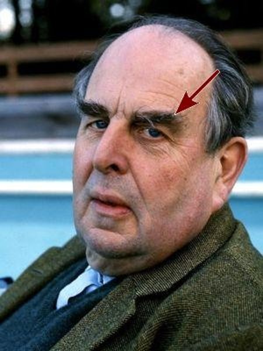 <p>rậm rạp / xù / dày (lông, tóc, cây cối)</p><p>ex: The dog has a bushy tail.</p>