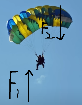<p>Name the force acting which is labeled by F<sub>1</sub> in the figure. [1 mark]</p>