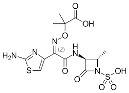 <p>***What is an example of a monobactam? It is an alternative to which drug? GP/GN/anaerobic activity?</p>