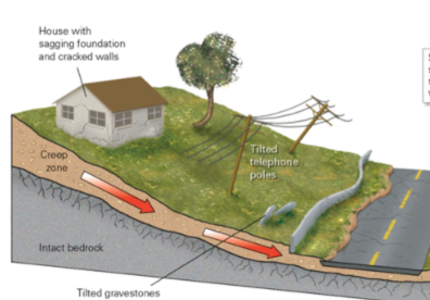 * Extremely slow downslope flow of sediment on the surface
  * Slowest type of slope failure
* Most loss is damage to buildings and infrastructure, rather than causalities (since it happens so slowly)
* Caused by cycles of freeze-thaw, wetting-drying, and/or warming-cooling
  * When ground surface freezes it expands (moves up) then thaws in the summer (moves straight back down due to gravity), as a result there is slight displacement
* Top of sediment/soil moves more than deeper areas, and so this causes objects to rotate/tilt