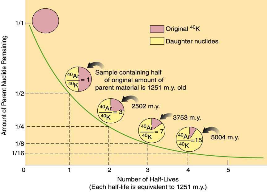 <ul><li><p>time needed to reduce the original amount of a radioactive isotope by half</p></li><li><p>result of radioactive decay</p></li></ul><p></p>