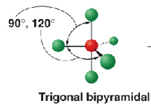 <p>trigonal bipyramidal </p><p>90 and 120</p><p>PCl5</p>