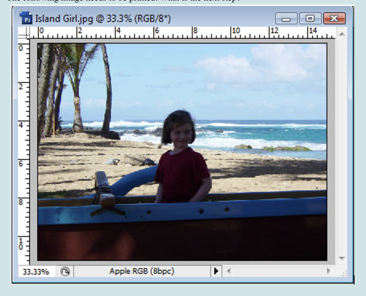 <p><span><span>The following image needs to be printed. What is the next step?&nbsp;</span></span></p><p><span><span>a. </span></span>Convert it to sRGB</p><p><span><span>b.</span></span>Convert it to the RGB working space</p><p><span><span>c. </span></span>Assign a CMYK output profile</p><p><span><span>d. </span></span>Convert it to CMYK using an output profile</p>