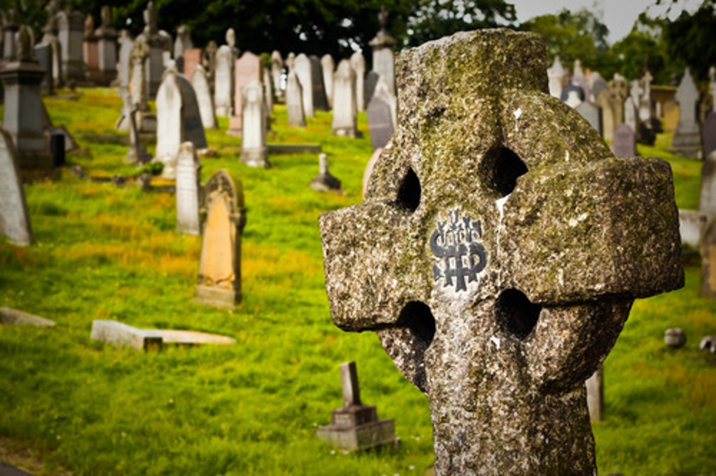 <p>(a) đã qua đời (= dead)</p>