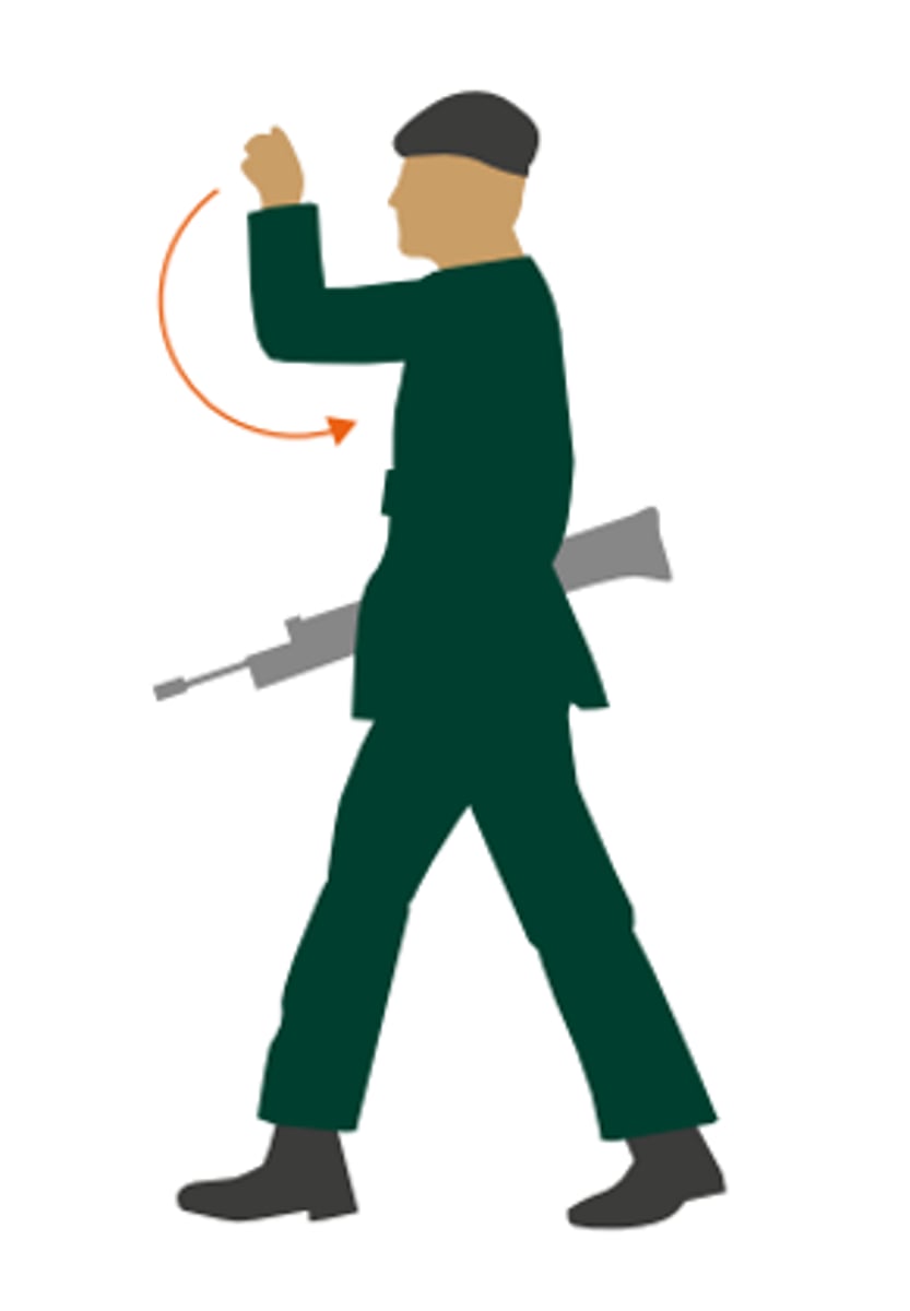 <p>Fire and Movement</p>