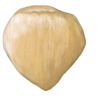 <p>What bone is this?</p>