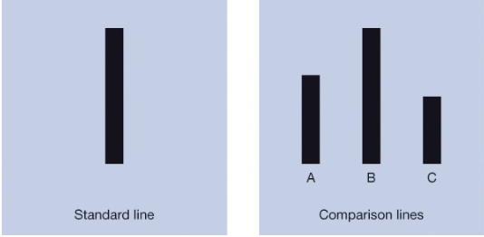 <ul><li><p>clear, unambiguous perceptual judgements </p></li><li><p>confederates posing as participants gave wrong judgements on trials </p></li><li><p>actual participants frequently went along </p></li><li><p>not adjusting behaviour out of accuracy but only to not stand out</p></li><li><p>100% right answer when asked individually </p></li><li><p>25% right answer when in a group </p></li><li><p>only 25% never conformed </p></li></ul><p></p>
