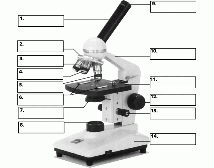 <p>Label all the part of a microscope </p>