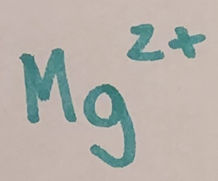 * formação do clorofila