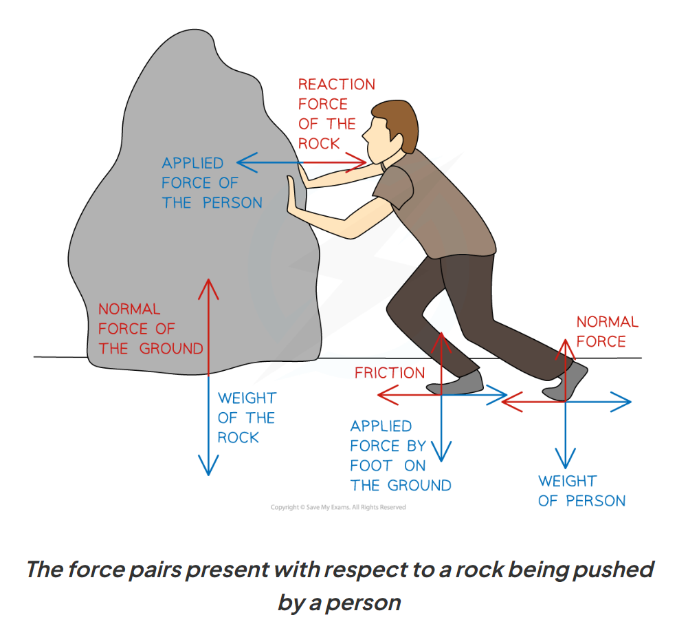 <p>force pairs (why and characteristics)</p>