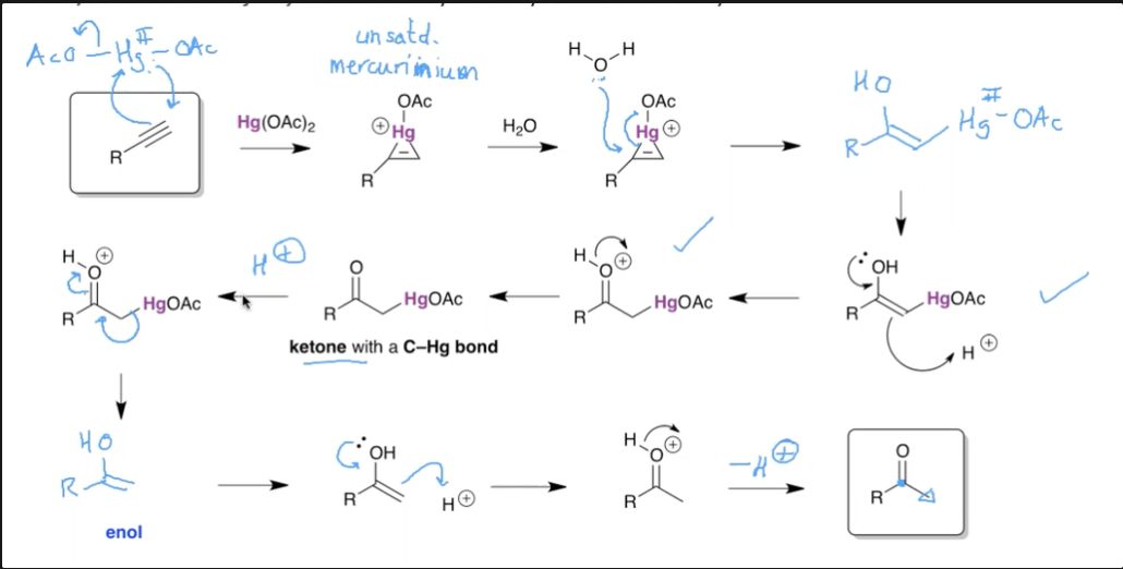 <p>Alkyne mechanism does NOT need the BH4. </p>